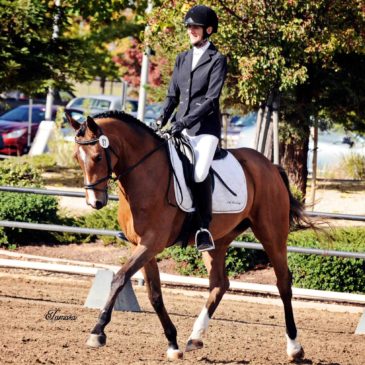 Grace Kamphefner – FEI Prix St-Georges